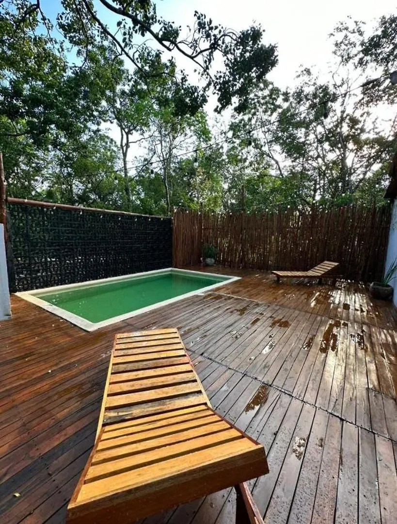 Guest house X-Haa Hotel Tulum Mexico